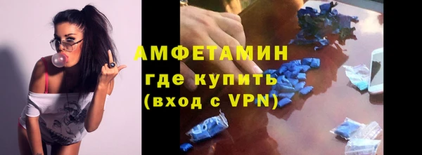 ГАЛЛЮЦИНОГЕННЫЕ ГРИБЫ Бородино