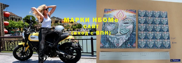 ГАЛЛЮЦИНОГЕННЫЕ ГРИБЫ Бородино