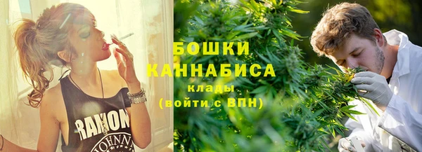 эйфоретик Богданович