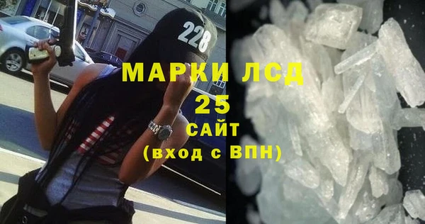 ГАЛЛЮЦИНОГЕННЫЕ ГРИБЫ Бородино