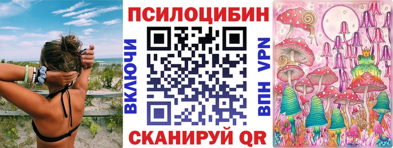 Купить где  Партизанск  Галлюциногенные грибы GOLDEN TEACHER 